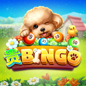 贵BINGO
