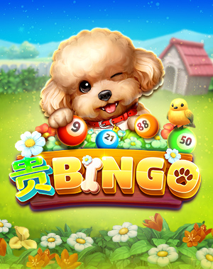 贵BINGO