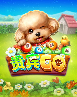 贵宾GO